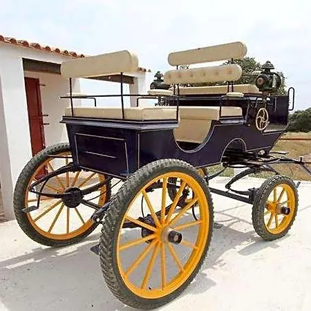 Rusticae El Anadio